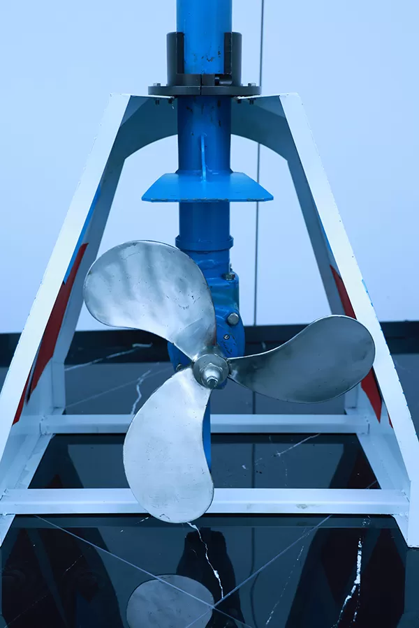 Marine Outboard Engine