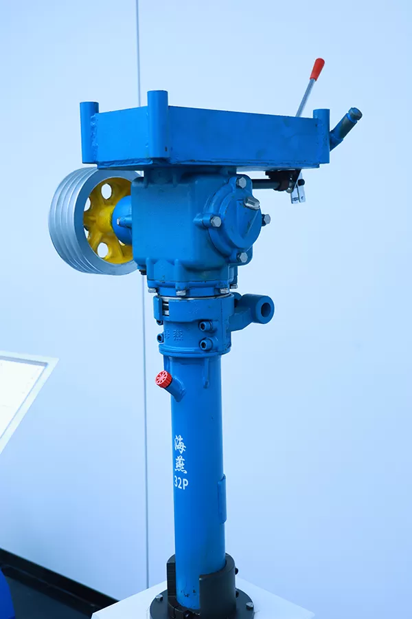 Marine Outboard Engine